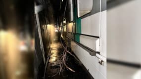 Une photo d'un caténaire rompu à la station Auber sur le RER A le 9 décembre 2024.