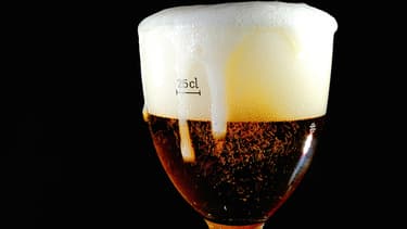 Paris veut développer la culture du houblon.