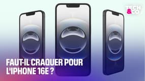 Faut-il craquer pour l'iPhone 16e?