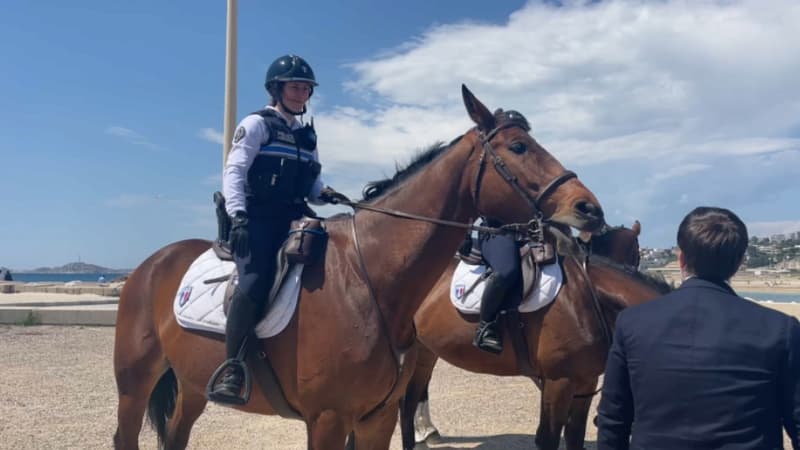 Ce mardi 29 avril, la ville de Marseille dévoile sa nouvelle brigade équestre. Elle permettra à la police municipale de patrouiller dans des sentiers peu praticables.