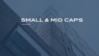 Small & Mid Caps 