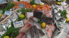 Étal de poissons.