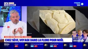 Dans votre assiette du jeudi 20 octobre 2022 - Chez Sève, voyage dans la flore pour Noël