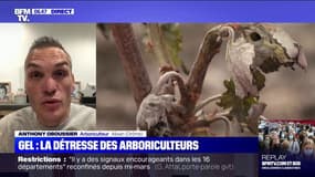 Cet arboriculteur témoigne de ses "100% de pertes" à cause du gel et assure que les aides lui seront "indispensables"