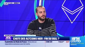 chute des altcoins : fin du bull ? 
