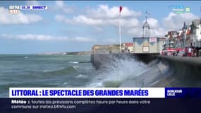 Wimereux: le spectacle des grandes marées 