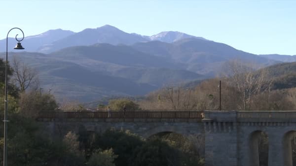 La neige est désespérément absente du sommet du Canigou, dans les Pyrénées-Orientales, en ce mois de février 2024.