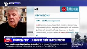 Pour Bernard Cerquiglini, lexicographe chez Larousse "on ne rencontre l'attestation du pronom IEL que dans les textes militants"