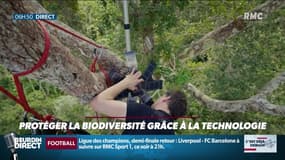 La chronique d'Anthony Morel : Protéger la biodiversité grâce à la technologie - 07/05