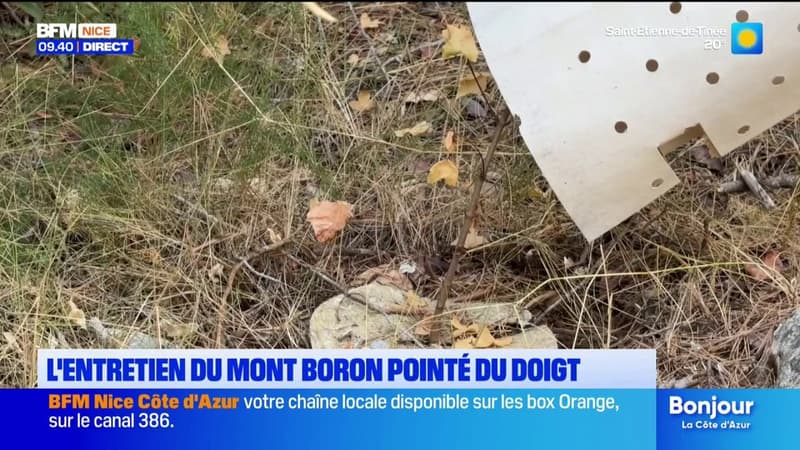 L'entretien du Mont Boron pointé du doigt