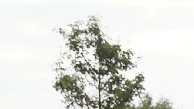 Les voitures de police brûlées lors de l'attaque de Viry-Châtillon, le 8 octobre dernier.