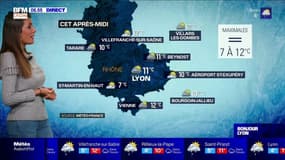 Météo à Lyon ce 29 janvier: de la grisaille et de la pluie, jusqu'à 12°C cet après-midi