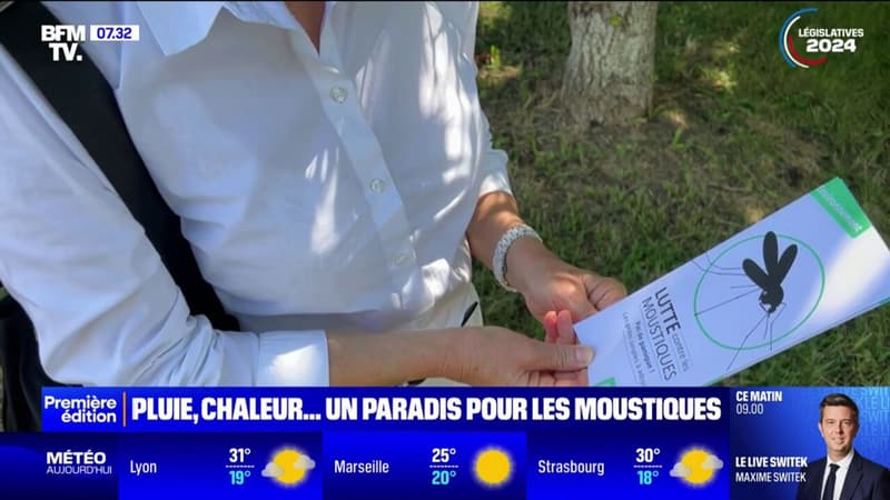Haute-Garonne: les moustiques font leur retour à cause des fortes pluies et des températures élevées