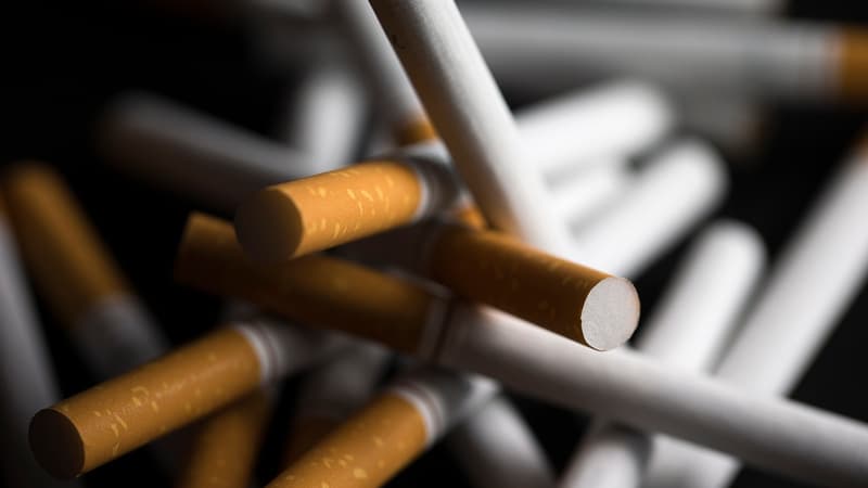 Les Douanes ont saisi 507 tonnes de tabac.