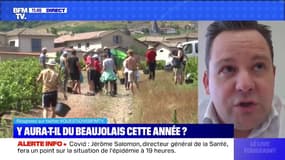 Y aura-t-il du Beaujolais cette année ? - BFMTV répond à vos questions