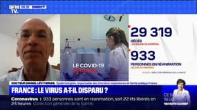 France : le virus a-t-il disparu ? - 11/06