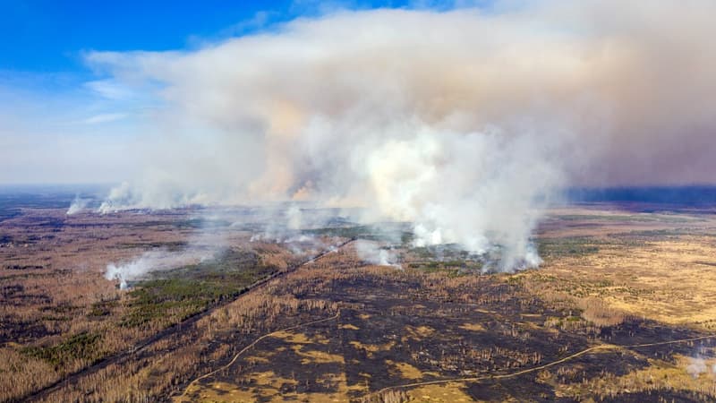 Un feu de forêt ravage depuis une quinzaine de jours la région où se trouve la centrale accidentée.