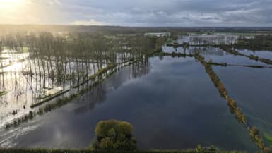 Des champs inondés à La Calotterie, dans le Pas-de-Calais, le 10 novembre 2023