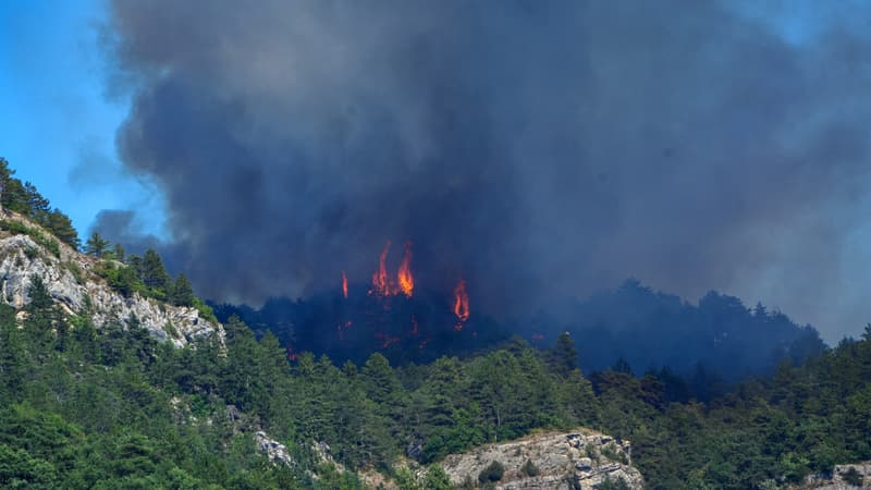 DIRECT. La France en alerte maximale face aux incendies et à la canicule, 1.000 hectares parcourus par les flammes dans la Drôme