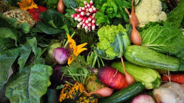 Les agriculteurs doivent attendre les analyses des cultures pour savoir s'ils peuvent les vendre.