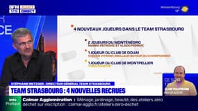 Water-polo: le directeur général du Team Strasbourg revient sur le mercato du club