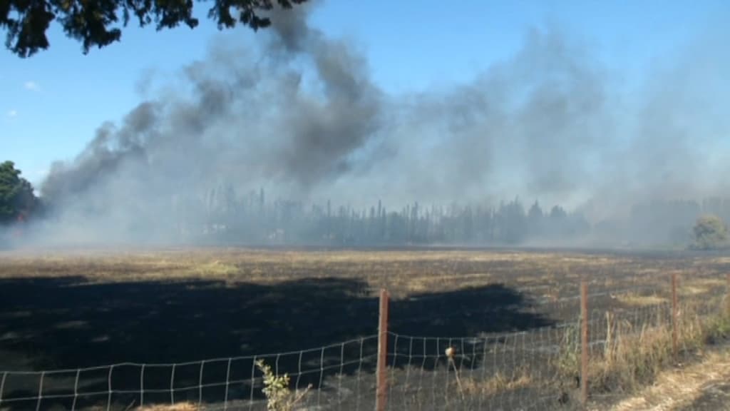 Selon le maire d'Argelès-sur-Mer, le feu est en passe d'être maitrisé