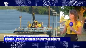 Béluga : l'opération de sauvetage débute - 09/08