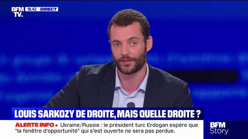 Louis Sarkozy: 