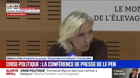 Crise politique: Marine Le Pen déplore un "piteux spectacle des jeux partisans"
