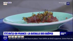 Été en Ile-de-France: les guêpes prolifèrent