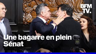 Mexique: ces sénateurs en viennent aux mains sur fond de débat sur l’intervention militaire américaine 
