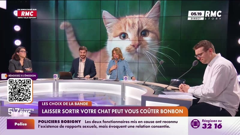 Les choix de la bande : Laisser sortir votre chat peut vous coûter bonbon - 31/10