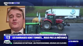 Normes agricoles: "Il ne peut pas y avoir deux poids deux mesures en fonction du pays dans lequel on se trouve au sein de l'Union européenne", affirme Cédric Nouvelot