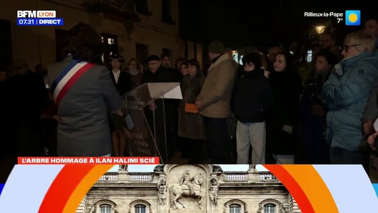 Antisémitisme : l'olivier en hommage à Ilan Halimi sera replanté à Saint-Genis-Laval 