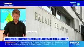 BFM Nord et vous: quels recours pour les locataires victimes d'humidité?