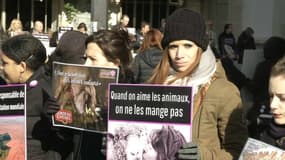 À Lille, des commandos vegans attaquent des boucheries et des poissonneries