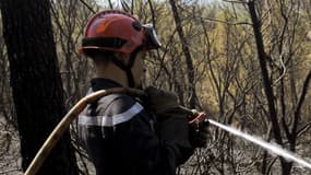 De nombreux massifs forestiers des Bouches-du-Rhône et du Var sont sous très haute surveillance en raison des risques d'incendie.