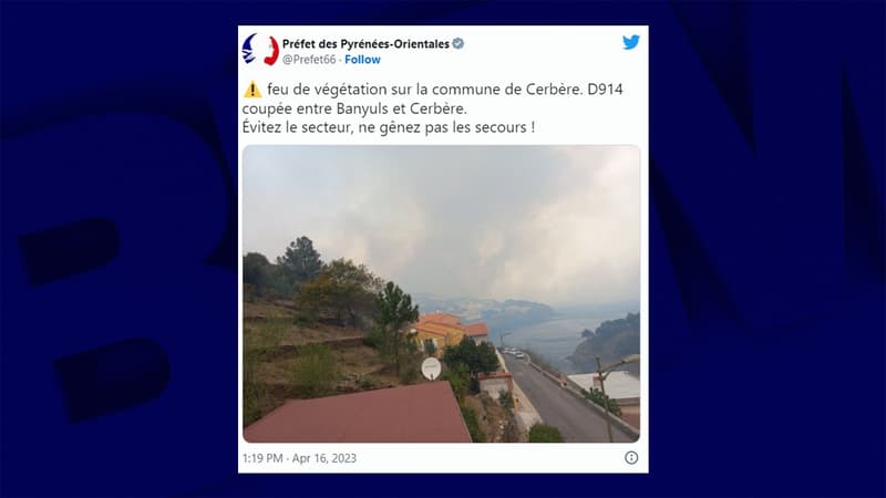 Pyrénées-Orientales: un incendie ravage au moins 100 hectares