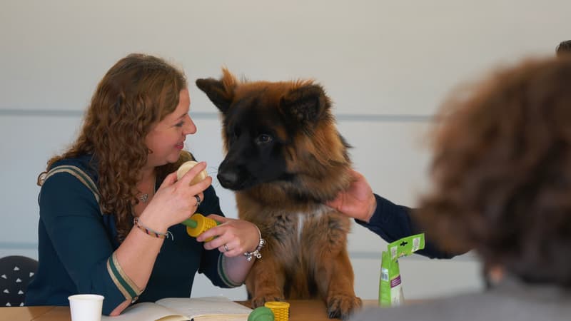 Cynnotek propose aux enseignes spécialisées différentes gammes de produits qui répondent aux nouvelles tendances de consommation et au bien-être animal