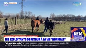 Bouches-du-Rhône: après les blocages, les agriculteurs de retour dans leurs exploitations
