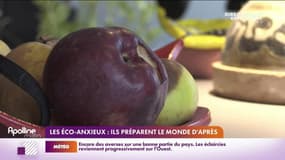 RMC chez vous : Les éco-anxieux préparent le monde d'après - 04/11