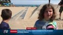 Derniers instants de farniente avant le week-end de retours des vacances