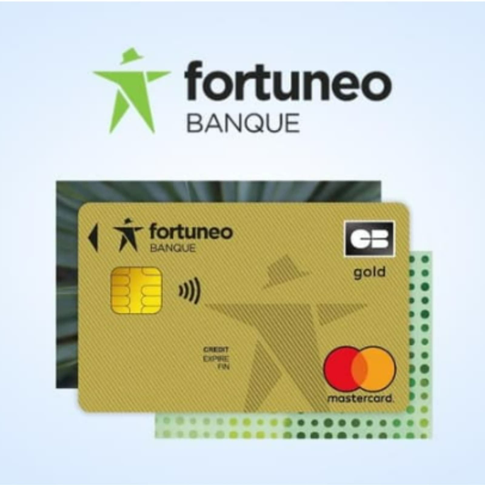 Avec Fortuneo, vous avez tout pour gérer votre argent du bout des doigts