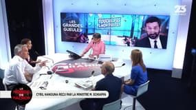 Le monde de Macron: Emmanuel Macron est en visite dans le Morbihan - 01/06