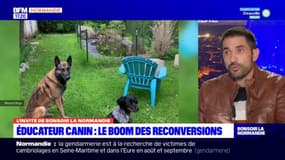 Eure: les éducateurs canins, un métier de plus en plus plébiscité