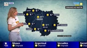 Météo Paris-Ile de France: un dimanche sous le soleil avec des températures estivales 