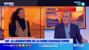 Île-de-France: les missions du laboratoire de la faune sauvage
