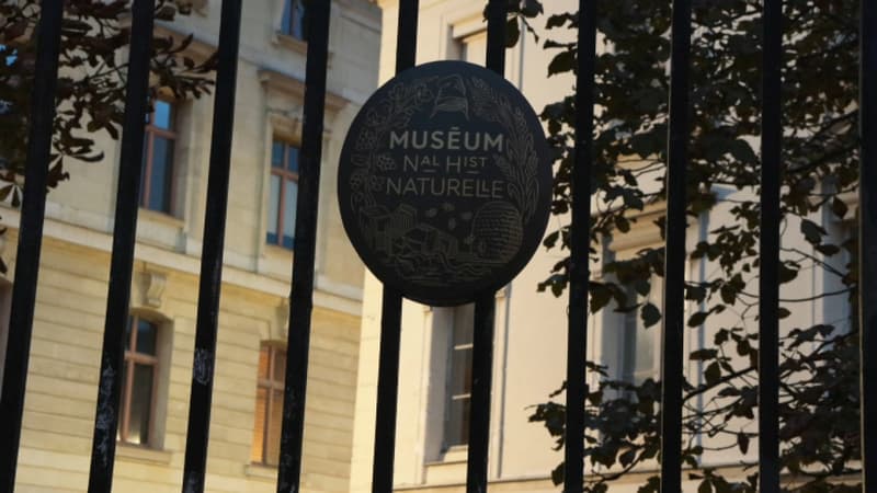 Un vol de pépites d'or pour un préjudice total de 600.000 euros a été commis au Muséum d'Histoire Naturelle