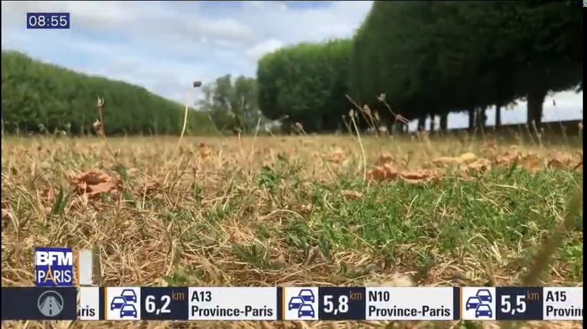 placeholder video