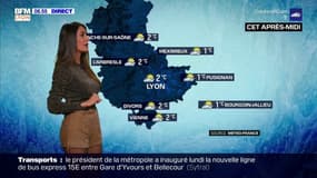 Météo à Lyon: quelques éclaircies et beaucoup de nuages, des températures en dessous des normales de saison